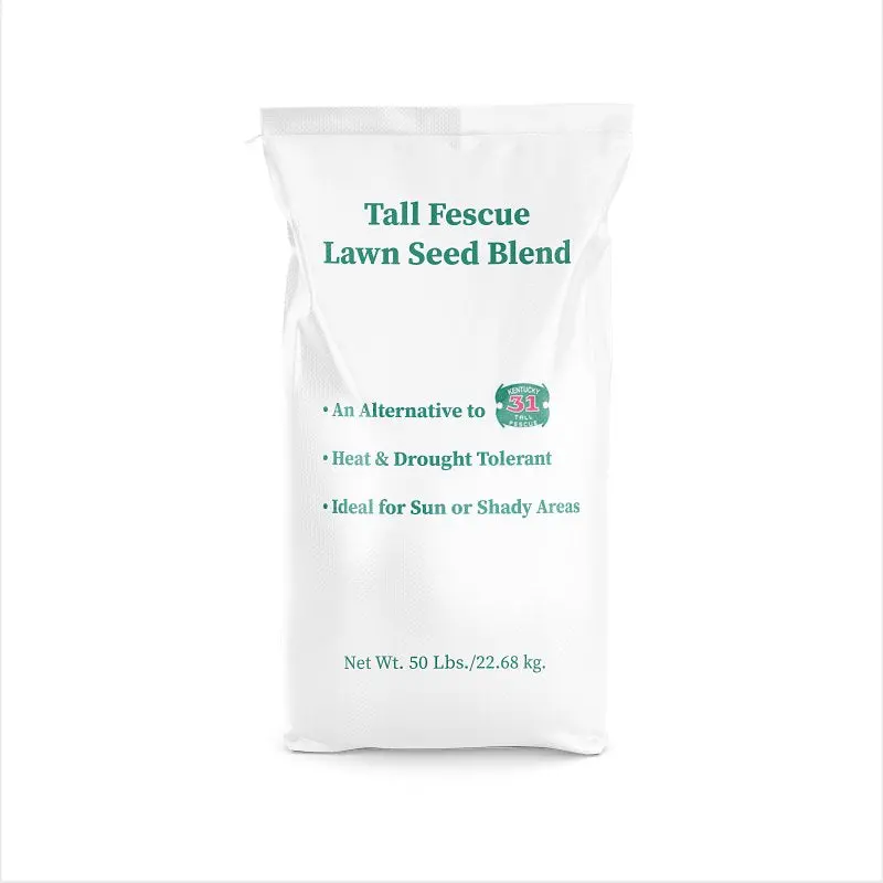 Barenbrug 14074 Tall Fescue Grass Seed – 50-Lb Bag Covers Up To 10,000 Sq Ft 1