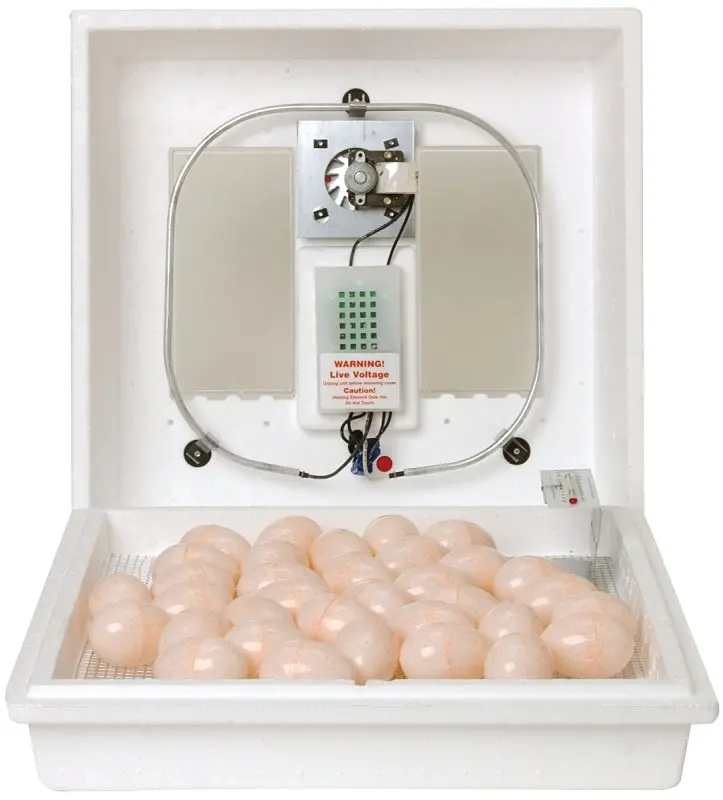 Little Giant 10300 Styrofoam Egg Incubator – Holds Up To 41 Large Chicken Eggs, Precise 99.5°F Temperature Control 1