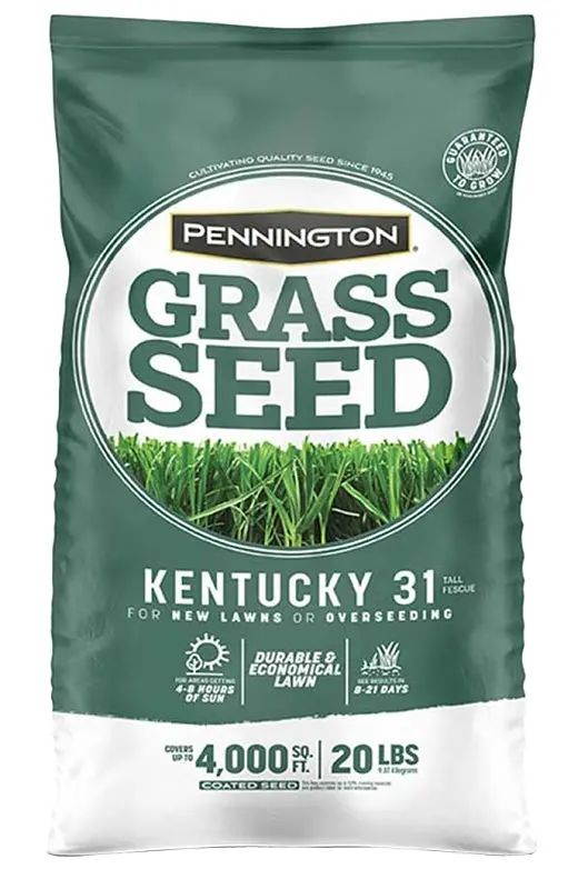 Pennington Kentucky 31 Tall Fescue Grass Seed – 20 Lb Bag For Dense, Drought-Tolerant Lawn Establishment 1