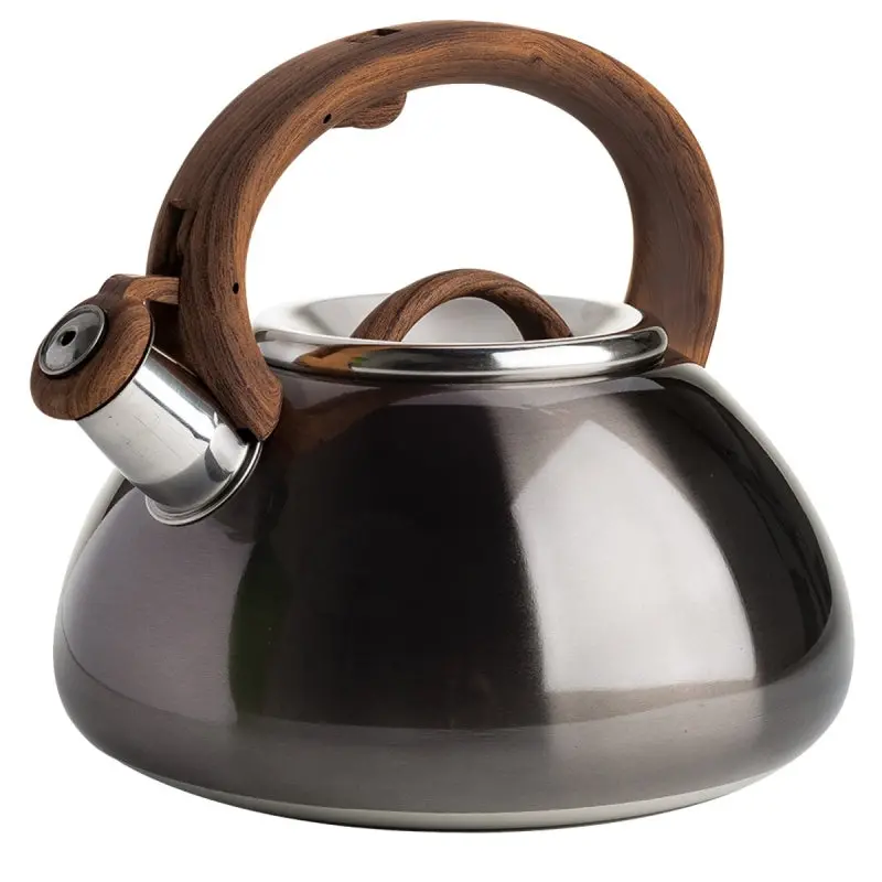 Primula 2.5-Quart Gunmetal Stainless Steel Tea Kettle With Soft-Touch Handle 1