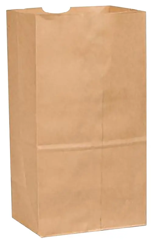 R3 72609 Insulated Beer Cooler Bag – 65 Lb Capacity, Dimensions: 8-1/4" L × 6-1/8" W × 15-7/8" H, Kraft Paper Exterior 1