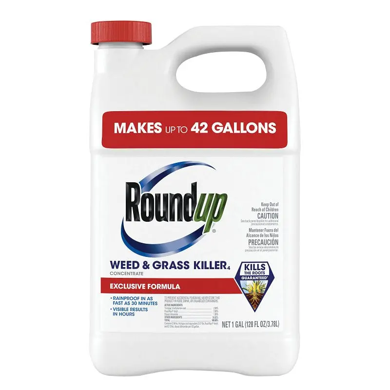 Roundup Concentrated Weed & Grass Killer – 1-Gallon Liquid Herbicide 1