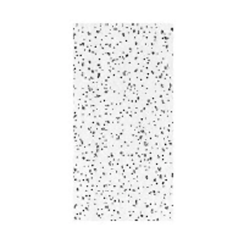 Usg R2310/290 4 Ft X 2 Ft X 5/8-Inch Fiberboard Acoustical Ceiling Panel – White 1